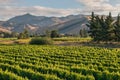 Wither Hills in Marlborough region in New Zealand with vineyard Royalty Free Stock Photo