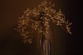 Withered bouquet with small dry flowers ans branches in glass vase against beige wall. Royalty Free Stock Photo