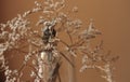 Withered bouquet with small white dry flowers and branches in glass vase against beige wall close up. Royalty Free Stock Photo