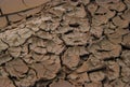 Withered convex mud texture