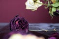 Withered dark purple rose on table