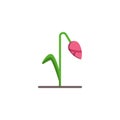 Withered flower flat icon