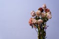 Withered flowers bouquet on white background. dry petals and leaves scattered on the ground. concept of broken heart and death. Royalty Free Stock Photo