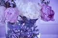 Withered flowers in a vase. Pink white color. Purple tone