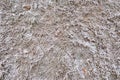 Withered grass covered in white frost