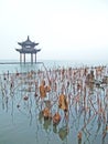 Withered leaves and pavilion Royalty Free Stock Photo