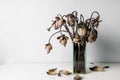 Withered lotus flowers in a glass vase Royalty Free Stock Photo
