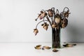 Withered lotus flowers in a glass vase