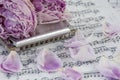 Withered pink peonies with harmonica are on the musical notes Royalty Free Stock Photo