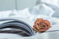 Withered pink rose on book