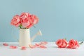 Withered pink rose flowers at watering can on white and blue wooden background with vintage tone, Vintage rose