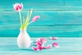 Withered pink tulips in a white vase, fallen petals on a blue wooden background