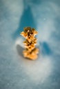 Withered plant in the snow. Selective soft focus, vertical Royalty Free Stock Photo