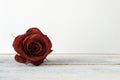 Withered red rose flower on a white wooden shelf. Royalty Free Stock Photo