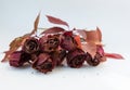 withered red roses on a white background. bouquet of drie Royalty Free Stock Photo