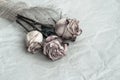 Withered rose Royalty Free Stock Photo