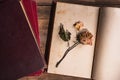 Withered rose on opened book Royalty Free Stock Photo