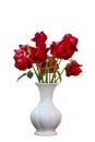 Withered roses in a pale white vase on a white background,day of love Royalty Free Stock Photo