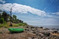 Withered tree and boat on stony beach.