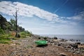 Withered tree and boat on stony beach.