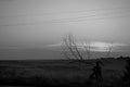 Withered tree on the lawn with dry grass and broken red bricks walls parts, line of trees and plowed field of black