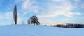Witner meadow panorama with tree Royalty Free Stock Photo