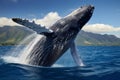 Majestic Humpback Whale: A Graceful Leap into the Deep Blue