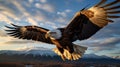 Majestic Bald Eagle Soaring in Golden Hour