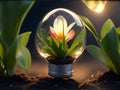 Small Plant Inside a Beautiful Bulb, Lovely Background