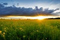 A New Day Dawns: Early Morning Meadow Landscapes in Wide-Angle with Generative AI Royalty Free Stock Photo