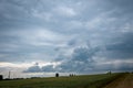 Contrast of Life: Young Cornfield Amidst Stormy Skies Royalty Free Stock Photo