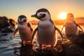 Graceful Penguins in Vibrant Arctic Waters