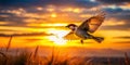Sunset Silhouette of a Tiny Sparrow in Flight A Stunning Moment Captured in the Golden Hour Royalty Free Stock Photo