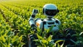 Autonomous Farming Robots Revolutionize Agriculture Precision Harvesting AIPowered Crop Management and Sustainable