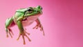 Small green frog leaping over a pink background Minimalistic background.