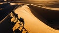 Desert Caravan Ballet: Shadows in the Sand Symphony Royalty Free Stock Photo