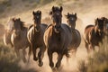 Majestic Wild Horses