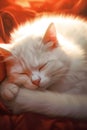 Dreamy Slumber of Kittens on Cosy Fleece (AI Generated)