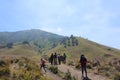 Bromo's Dawn: Tranquil Morning Encounter Royalty Free Stock Photo