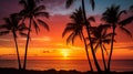 Silhouette of palm trees and a tranquil beach during sunset Royalty Free Stock Photo