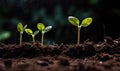 Witnessing growth of plant seedlings is truly amazing Creating using generative AI tools