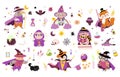 Wizard animals and magic elements. Isolated fantasy witch, wizards in mantle and hats. Poison bottles, magical game