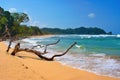 Wizard beach, Bastimentos Island, Bocas del Toro, Panama Royalty Free Stock Photo