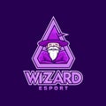 Wizard mascot Logo template