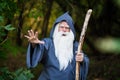 A wizard with a long gray beard casts a spell in a dense forest Royalty Free Stock Photo