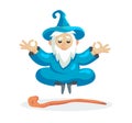 Wizard male character, mage, sorcerer in a mantle and hat Royalty Free Stock Photo