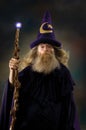 Wizard Portrait Royalty Free Stock Photo