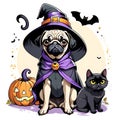 Wizard Pug Dog and Cat Friend Set