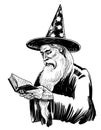 Wizard reading a book