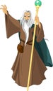 Wizard with staff Royalty Free Stock Photo